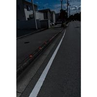 マイスト MYST 反射道路鋲(レッド) 5522 1個 685-6981（直送品）