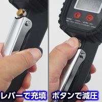 ワールドツール アストロプロダクツ AP エアタイヤゲージデジタルタイプTG051 2001000010516 1個 684-7666（直送品）