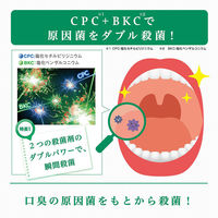 ガム デンタルリンス 爽快タイプ 960mL サンスター GUM マウスウォッシュ 液体歯磨き 原因菌を殺菌・除去