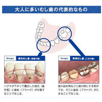 バトラー エフペースト α メディカルハーブ 90g サンスター BUTLER 歯磨き粉 高濃度フッ素 1450ppm 虫歯 口臭