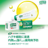 ガム 歯周プロケアペースト 90g 1セット（3本）サンスター GUM 歯磨き粉 原因菌を殺菌 歯周病 高濃度フッ素 1450ppm 虫歯