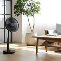 シロカ siroca 音声操作サーキュレーター扇風機SFーV251(HD)ダークグレー SF-V251(HD) 1個