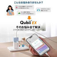 Maktar 充電しながらデータ自動バックアップ Qubii EX 急速充電60W 256GB MKPQE-RG-256 1個