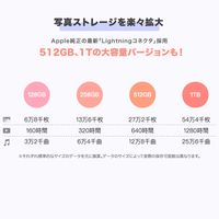 Maktar スマホに挿すだけデータ自動バックアップ Piconizer4 512GB MKP4-SG-512G 1個