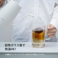 HARIO（ハリオ）冷水筒 ピッチャー 750ml 耐熱ガラス製 シルバー WJCAー750ーHSV 1個