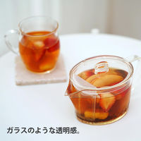 HARIO（ハリオ）フィルターイン 急須 ティーポット 450ml トライタン製 FIKー45ーT 1個