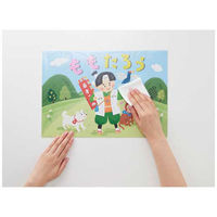 プラス 紙芝居 保護ポケット 100P FL-170KF 1パック×2)1セット(1パック×2)（直送品）