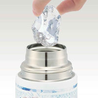 スケーター 水筒 580ml 超軽量ダイレクトボトル アナと雪の女王24 保冷専用 448197 1個（直送品）