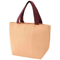 スケーター ランチバッグ ミニポケット付保冷バック トムジェリコーヒー 451266 1個（直送品）