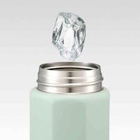 スケーター 水筒 500ml 八角ステンレスボトル セピアカラー グリーン 456217 1個（直送品）