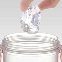 スケーター 水筒 480ml 食洗機対応プラクリアボトル SGもぐらのおうち 457639 1個（直送品）