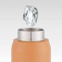 スケーター 水筒 500ml 炭酸飲料対応真空ステンレスボトル プーミュートカラー 458784 1個（直送品）