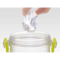 スケーター 水筒 480ml 食洗機対応プラクリアボトル カービィ ピクニック 459291 1個（直送品）