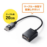 サンワサプライ  DisplayPort-VGA変換アダプタ AD-DPV06（直送品）