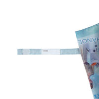 スケーター 傘 子供傘 35cm キャラクター アナと雪の女王2 428315 1個（直送品）