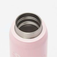 スケーター 水筒 500ml 炭酸飲料対応真空ステンレスボトル MMペイント 458782 1個（直送品）