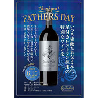 スペイン フアン・ヒル シルバー・ラベル (ドセ・メセス) 赤ワイン フルボディ 750ml 1本 フィラディス