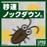 ゴキブリ 駆除 スプレー 業務用 ゴキジェット 殺虫剤 退治 対策 1本 アース製薬