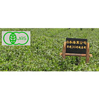 海東銘茶 有機 ジャスミン茶 ティーバッグ 1袋（15バッグ入）