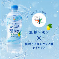 アサヒ飲料 アサヒ おいしい水 天然水 からだ澄む水 600ml 1箱（24本入）