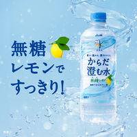 【アウトレット】アサヒ飲料 アサヒ おいしい水 天然水 からだ澄む水 600ml 1セット（48本）
