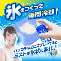 白元アース アイスノン 冷んやり氷スプレー134ｍL 1本