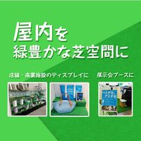 萩原工業 萩原 HCターフ(人工芝) 1帖用 グリーン 91cm×1.8m/R HCT-9118 1本 437-5526（直送品）