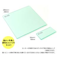 日本紐釦貿易 透明ビニール板 カッティングマット/穴あけポンチ用下受け台 サイズ200mm×200mm F1-112 1枚