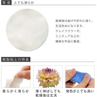 パジコ 樹脂粘土 モデナホワイト 250g 白 日本製 303109 PDC3109 1個