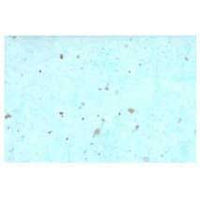 ペーパーインテリジェンス レーヨン雲龍紙金箔 6色計7枚 4101353レーヨンウンリュウセット 1パック（直送品）