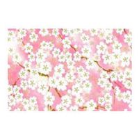 花岡 ペーパーインテリジェンス A3判高級友禅和紙10枚 Bセット 4102032A3ユウゼンセットB 1セット(10枚)×3（直送品）