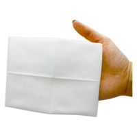 溝端紙工印刷 ドライワイプ50枚入 1パック(50枚)×2（直送品）