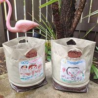 エコモット 教材用 3枚入 1セット（直送品）