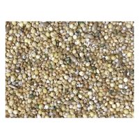 ペッズイシバシ 小鳥のためのミックスシード皮むきタイプ 1セット(1個×3)（直送品）