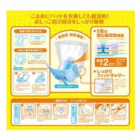 第一衛材 第一衛材株式会社 フリーネ 昼・安心パッド57 1P DSK-95 1パック×3（直送品）