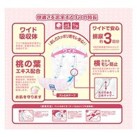 第一衛材 第一衛材株式会社 フリーネ ワイド・安心パッド48 DSK-97 1パック×3（直送品）