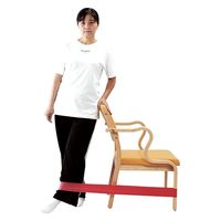 DLM レクトレループバンドL黄色 弱弱F105291 F105291 1セット(2個)（直送品）