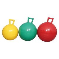 アカバネ ジャンプボール F-2024 黄 46cm径 1個（直送品）