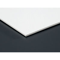 オリオン 水彩紙ボード A3 シリウス(両面) SA-A3 1セット(1パック×5)（直送品）