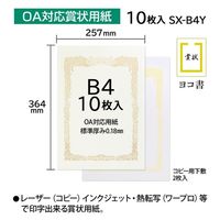 オキナ OA対応賞状用紙 SX-B4Y B4横書 10枚 1パック(10枚)×2（直送品）