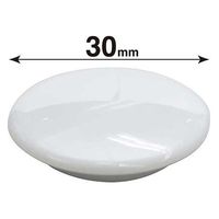 マグエックス カラーボタン MFCB-30 直径30mm 白 12個 MFCB-30-12P-W 1セット(1パック×3)（直送品）