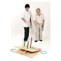 DLM 多目的輪投げ&トレーニングボード(大)53 53 1個（直送品）