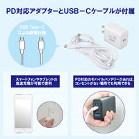 YAMAZEN 30cm DCリビング扇風機 パワーデリバリー対応 簡易リモコン 風量7段階 YLRP-CJD30(W) 1台