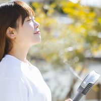 トップランド ミストハンディファン 羽根径8cm 風量3段階 2Way電源 ダークグレー SF-HFM10DG 1台