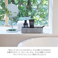 サンリツ KLEANE PLUS洗える抗菌素材の小物入れバスケットL ホワイト 1セット（3個）
