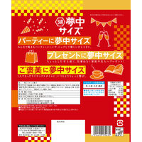 ポテトチップス おつまみ 夢中サイズ 湖池屋 プライドポテト ぞっこん岩塩 102g 6袋 湖池屋