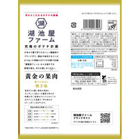 ポテトチップス おつまみ 湖池屋ファーム 黄金の果肉 焼き塩 55g 12袋 湖池屋