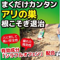 アリがいなくなるシャワー液 1L  1ヶ月効果持続 1本 蟻用 大日本除虫菊 キンチョー キンチョウ