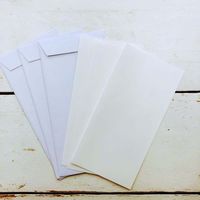 フロンティア のし封筒 橋本不二子 ブルーの花 多目的 NSF-009 1パック(3枚入)（直送品）