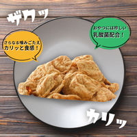 プラスラブ 素材キッチン 大豆のおやつ パリパリスライス 国産 50g 1袋 犬用 おやつ